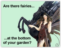 Fairies and all things Fantasy