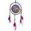  Fantasy Dreamcatcher Print Unicorn Garden, Small 