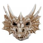 Dropship Dragon Figurines & Statues - Shadows of Darkness Dragon Skull Money Box