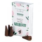 Dropship Incence Sticks & Cones - Premium Plant Based Stamford Backflow Incense Cones - Sweet Musk