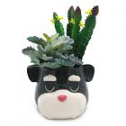 Dropship Dog Themed Gifts - Decorative Ceramic Indoor Shaped Planter - Schnauzer Dog Head