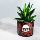 Dropship Skulls & Skeletons - Skulls & Roses Ceramic Indoor Plant Pot - Small