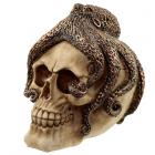 Dropship Skulls & Skeletons - Fantasy Bronze Octopus Skull Ornament