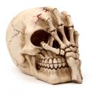 Gothic Skull Decoration - Skull Head with Skeleton Claw Hand