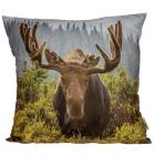 Decorative Moose Photo Cushion