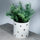 Nectar Meadows Bee Ceramic Indoor Plant Pot - Large