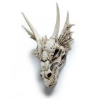 Large Dragon Skull Decoration with Metallic Detail