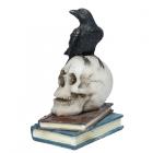 Crow Standing on Skull and Books Ornament